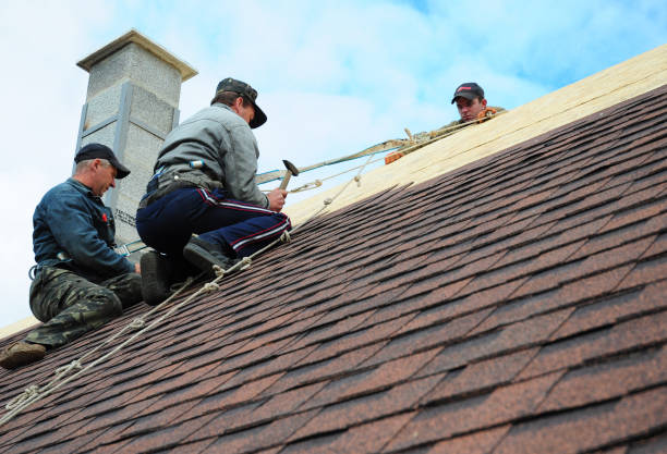 Best Roof Gutter Cleaning  in North Industry, OH